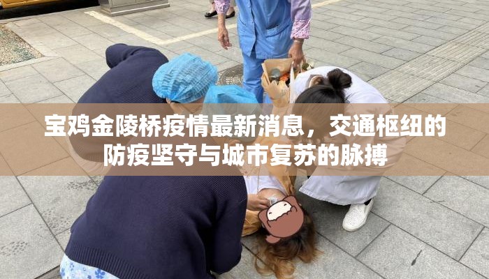 宝鸡金陵桥疫情最新消息,交通枢纽的防疫坚守与城市复苏的脉搏 宝鸡金陵桥疫情最新消息,交通枢纽的防疫坚守与城市复苏的脉搏