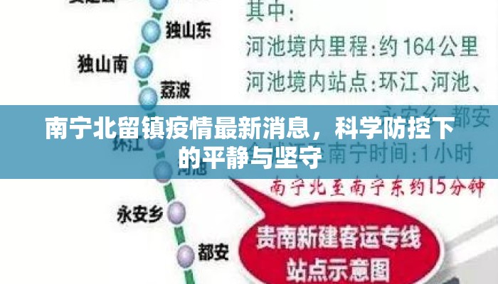 南宁北留镇疫情最新消息，科学防控下的平静与坚守