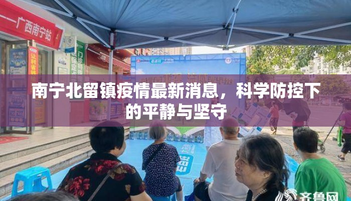 南宁北留镇疫情最新消息，科学防控下的平静与坚守