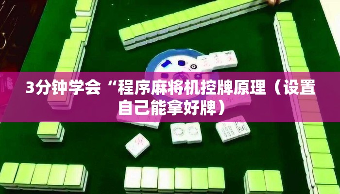 3分钟学会“程序麻将机控牌原理（设置自己能拿好牌）