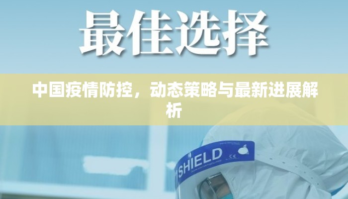 中国疫情防控，动态策略与最新进展解析