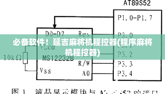 必备软件！延吉麻将机程控器(程序麻将机程控器)