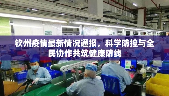 钦州疫情最新情况通报，科学防控与全民协作共筑健康防线