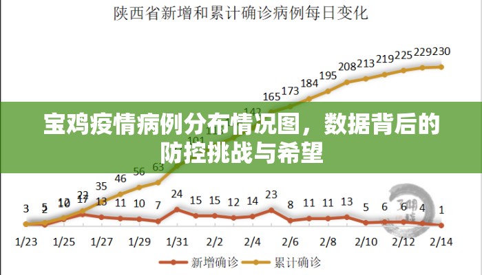 宝鸡疫情病例分布情况图，数据背后的防控挑战与希望