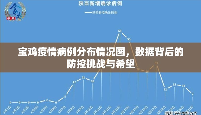 宝鸡疫情病例分布情况图，数据背后的防控挑战与希望