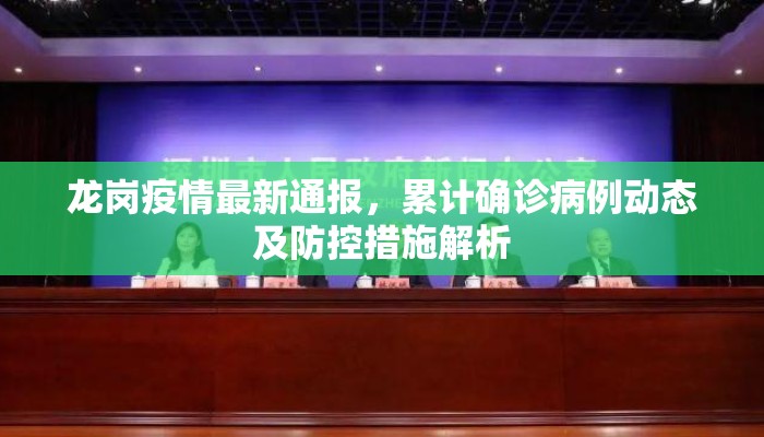 龙岗疫情最新通报，累计确诊病例动态及防控措施解析