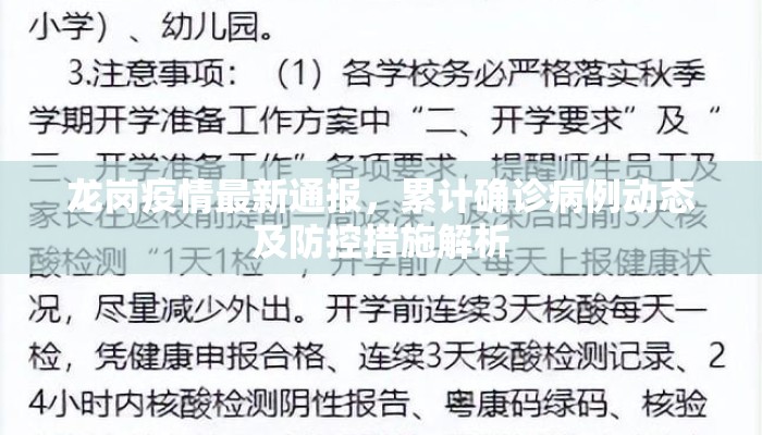 龙岗疫情最新通报，累计确诊病例动态及防控措施解析