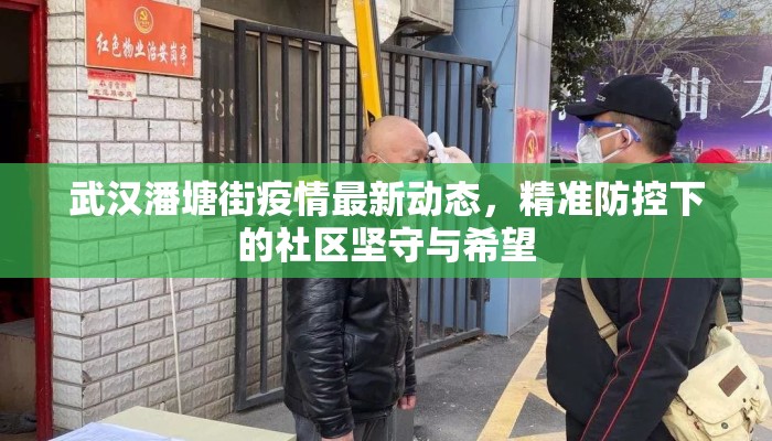 武汉潘塘街疫情最新动态，精准防控下的社区坚守与希望