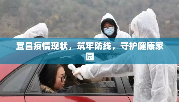 宜昌疫情现状，筑牢防线，守护健康家园