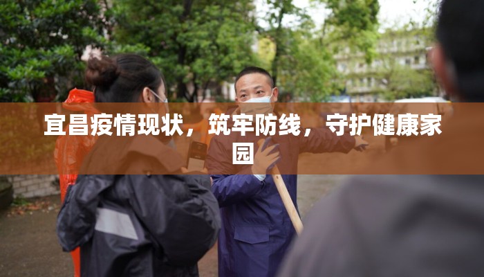 宜昌疫情现状，筑牢防线，守护健康家园