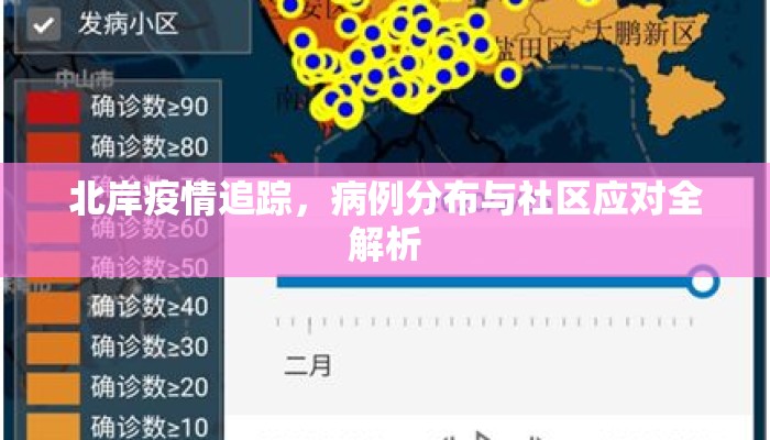 北岸疫情追踪，病例分布与社区应对全解析
