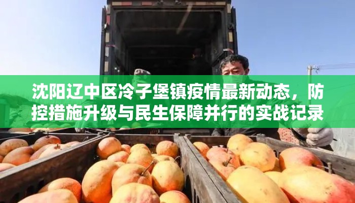 沈阳辽中区冷子堡镇疫情最新动态，防控措施升级与民生保障并行的实战记录