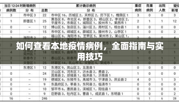 如何查看本地疫情病例，全面指南与实用技巧