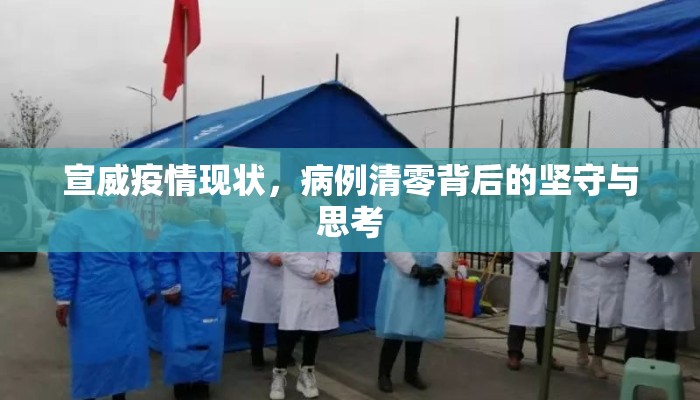 宣威疫情现状,病例清零背后的坚守与思考 宣威疫情现状,病例清零背后的坚守与思考