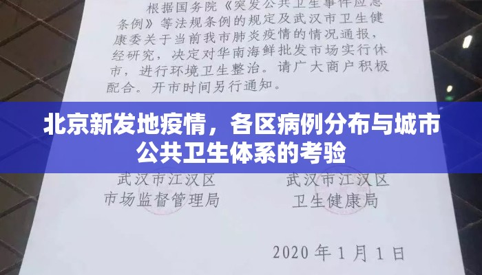 北京新发地疫情，各区病例分布与城市公共卫生体系的考验