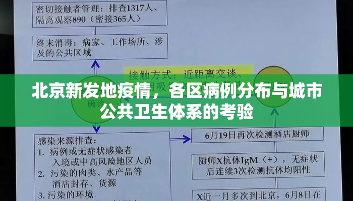 北京新发地疫情，各区病例分布与城市公共卫生体系的考验