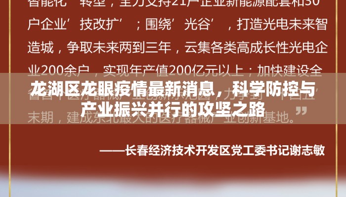 龙湖区龙眼疫情最新消息，科学防控与产业振兴并行的攻坚之路