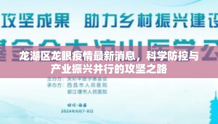 龙湖区龙眼疫情最新消息，科学防控与产业振兴并行的攻坚之路