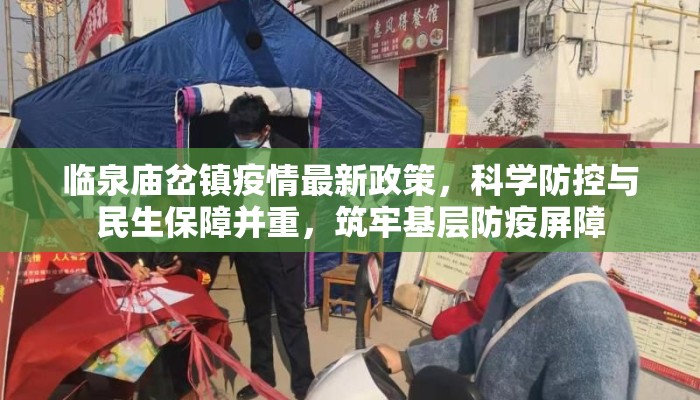 临泉庙岔镇疫情最新政策，科学防控与民生保障并重，筑牢基层防疫屏障