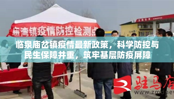 临泉庙岔镇疫情最新政策，科学防控与民生保障并重，筑牢基层防疫屏障
