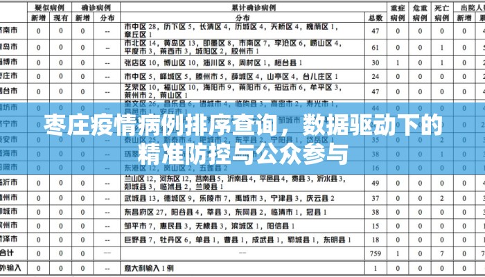 枣庄疫情病例排序查询，数据驱动下的精准防控与公众参与