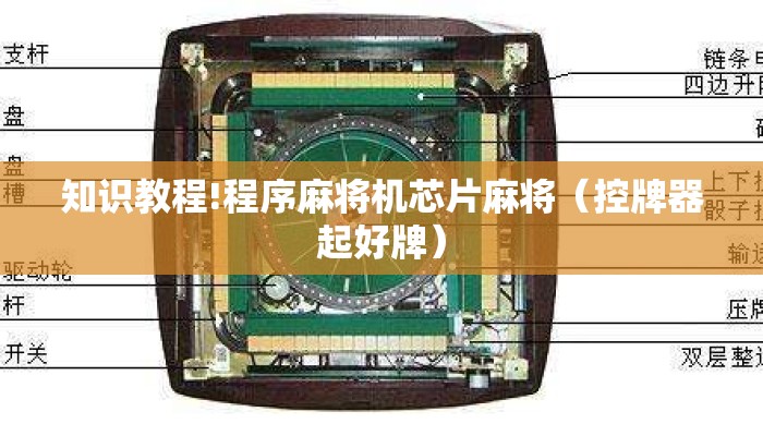 知识教程!程序麻将机芯片麻将（控牌器起好牌）