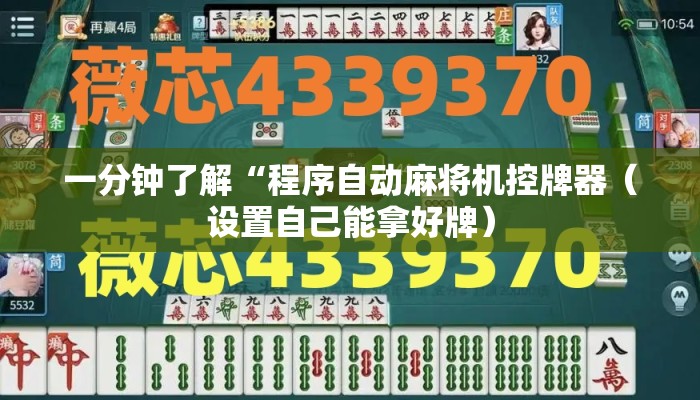 一分钟了解“程序自动麻将机控牌器(设置自己能拿好牌) 一分钟了解“程序自动麻将机控牌器(设置自己能拿好牌)