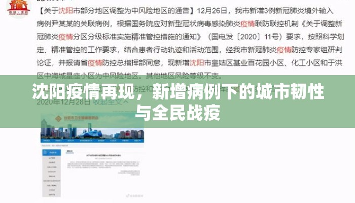 沈阳疫情再现，新增病例下的城市韧性与全民战疫