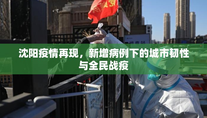 沈阳疫情再现，新增病例下的城市韧性与全民战疫