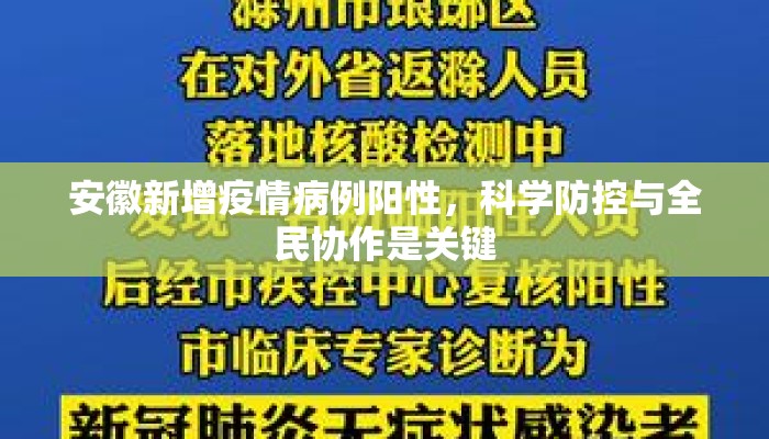 安徽新增疫情病例阳性，科学防控与全民协作是关键