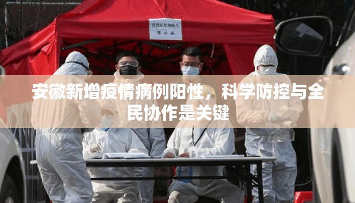 安徽新增疫情病例阳性，科学防控与全民协作是关键