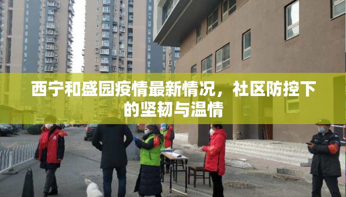 西宁和盛园疫情最新情况,社区防控下的坚韧与温情 西宁和盛园疫情最新情况,社区防控下的坚韧与温情