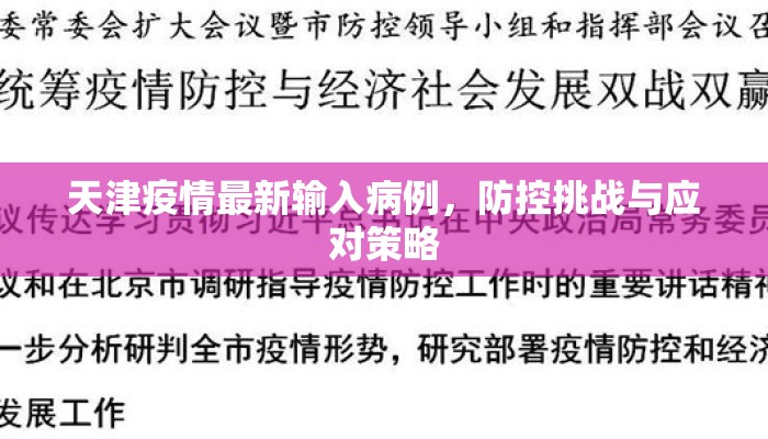天津疫情最新输入病例,防控挑战与应对策略 天津疫情最新输入病例,防控挑战与应对策略