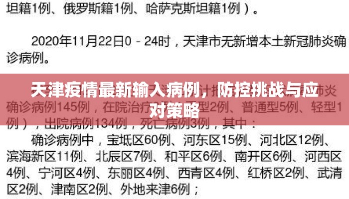 天津疫情最新输入病例,防控挑战与应对策略 天津疫情最新输入病例,防控挑战与应对策略