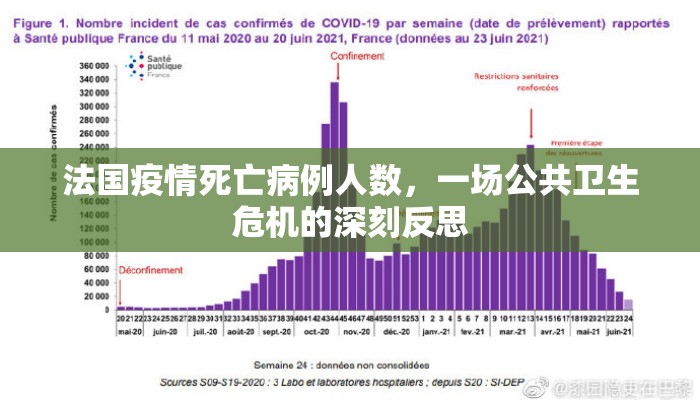 法国疫情死亡病例人数，一场公共卫生危机的深刻反思
