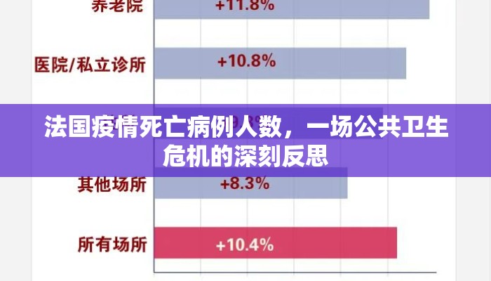 法国疫情死亡病例人数，一场公共卫生危机的深刻反思