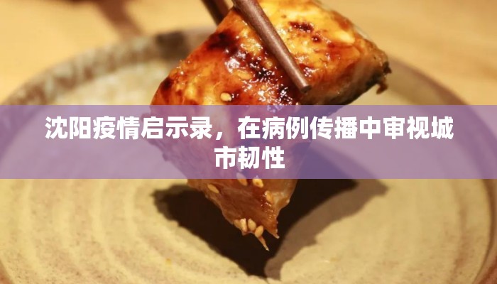 沈阳疫情启示录，在病例传播中审视城市韧性